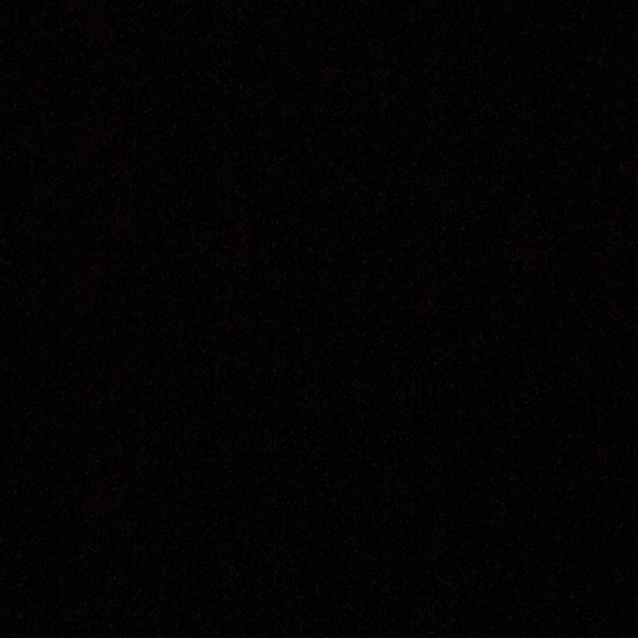 Dylan - Picture 1 of 1